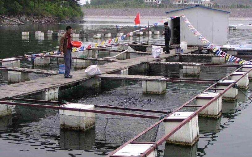 生物質(zhì)蒸汽發(fā)生器