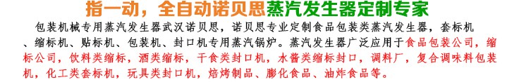 12-24kw機(jī)械包裝小型蒸汽發(fā)生器簡(jiǎn)介